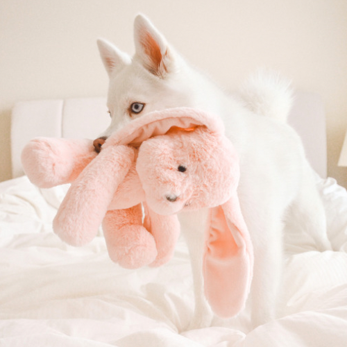 Fur Elise Ruby Plush Toy - Maxi