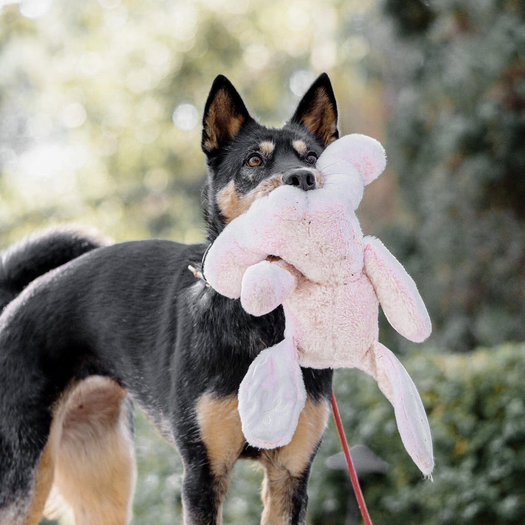 Fur Elise Ruby Plush Toy - Maxi