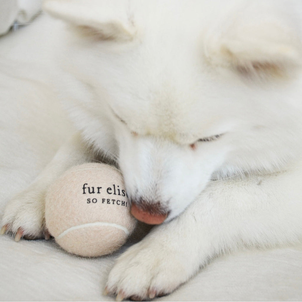 Fur Elise So Fetch! Tennis Ball - Noire