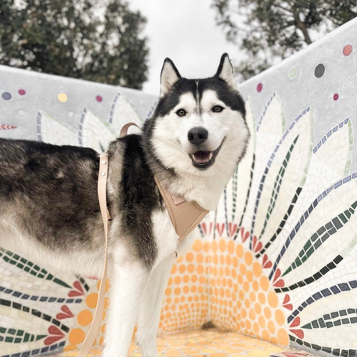 Fur Elise The Essentials Walk Set - Sand