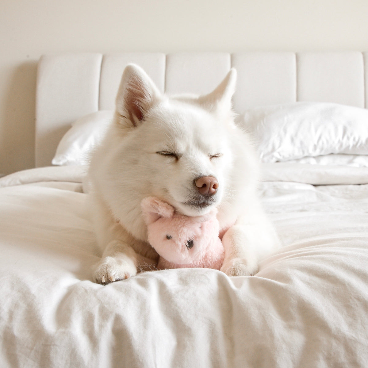 Fur Elise Ruby Plush Toy - Mini