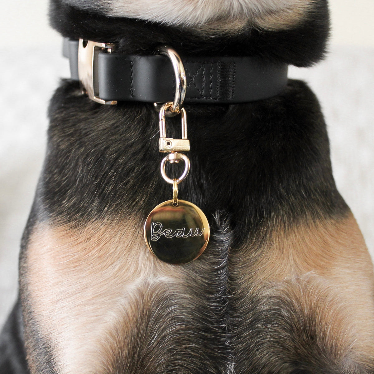Fur Elise The Essentials Walk Set - Noir