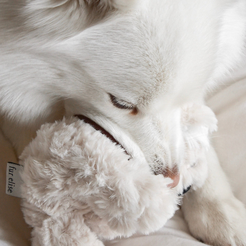 Fur Elise Koko Plush Toy - Mini