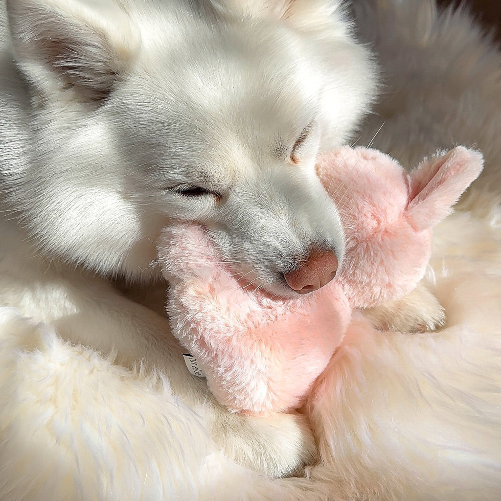 Fur Elise Ruby Plush Toy Set
